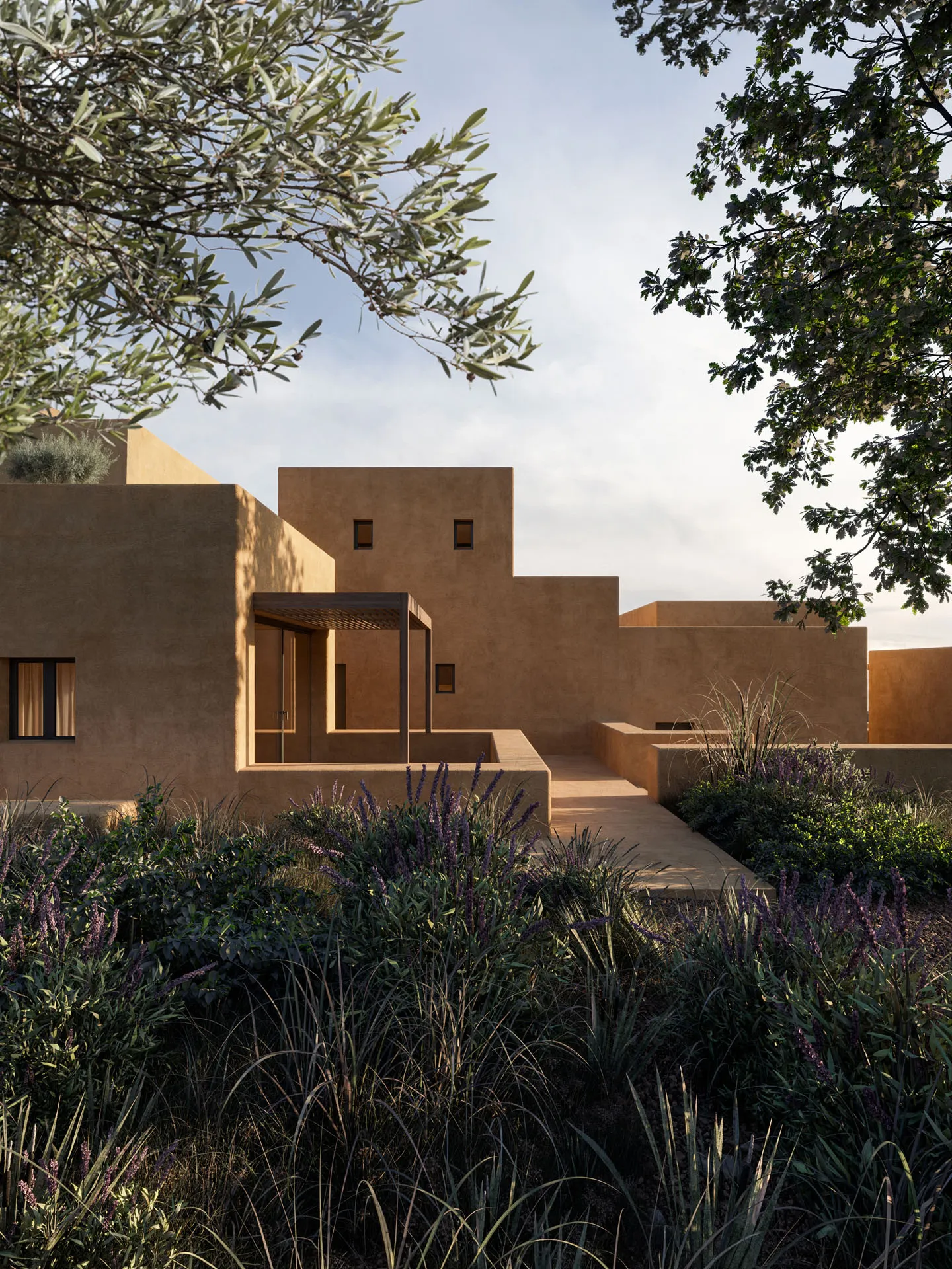Earth-coloured houses among olive trees
