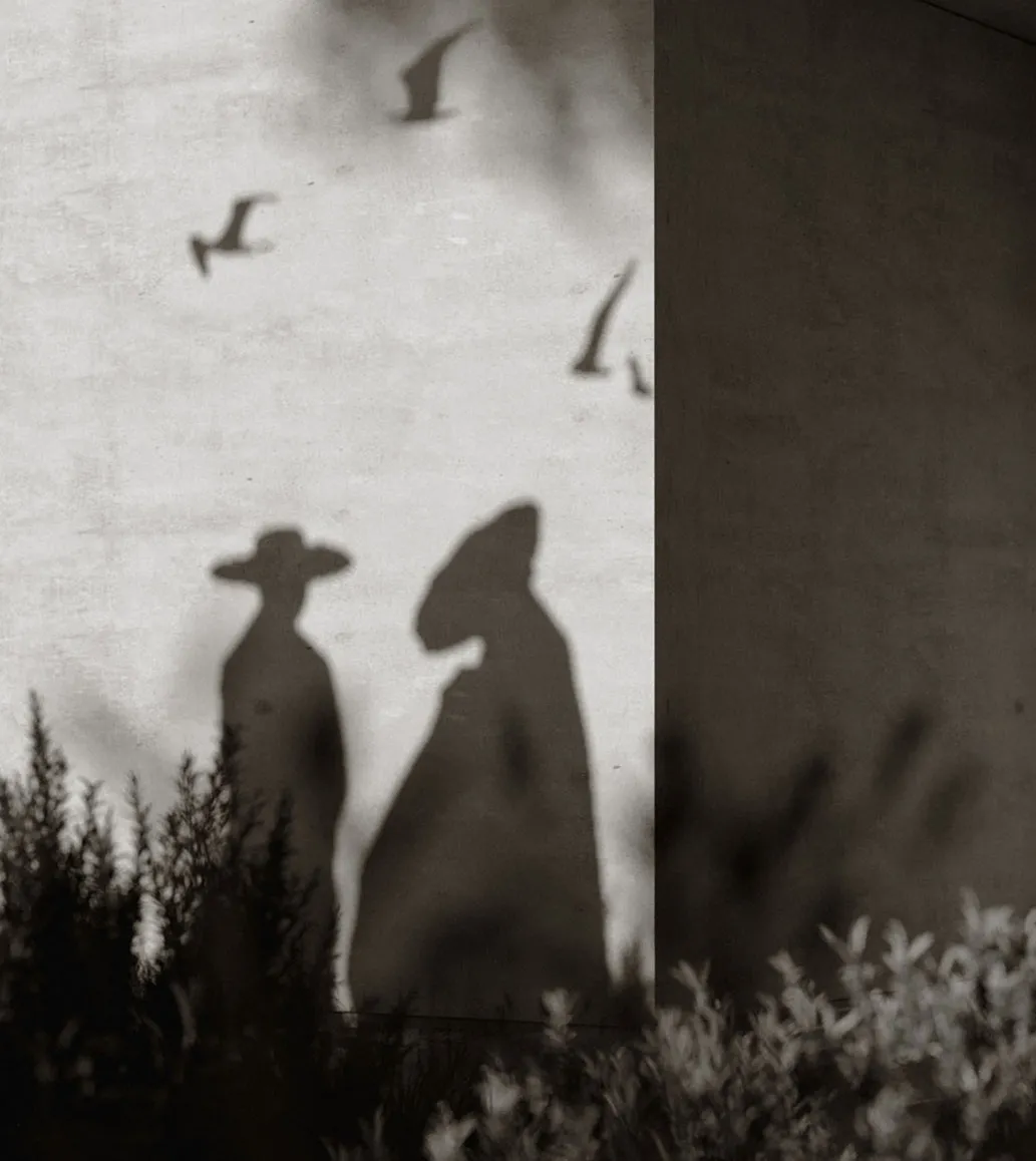 Black and white figures among the dunes, birds above