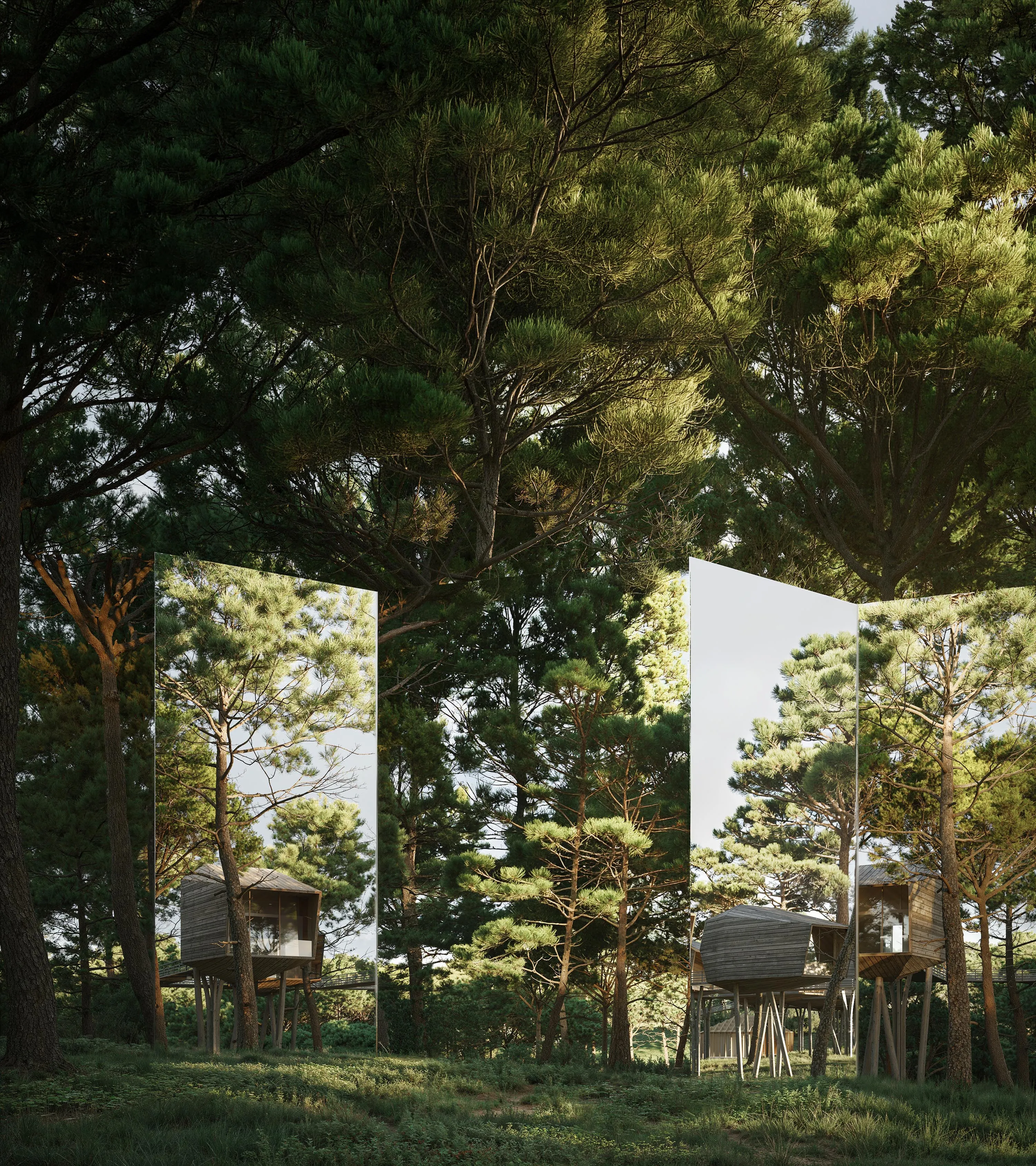 The cabins from below, treetops