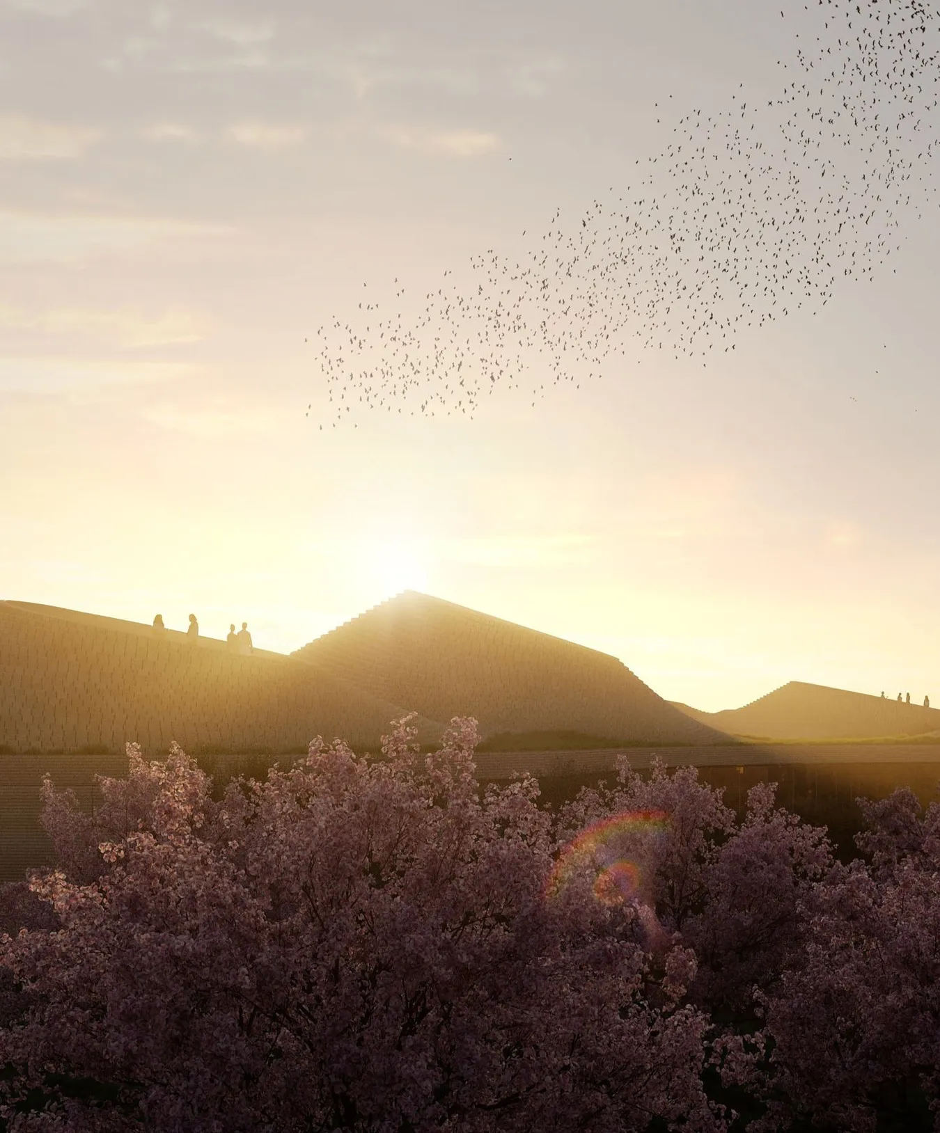 Sunset over the hills with a flock of birds