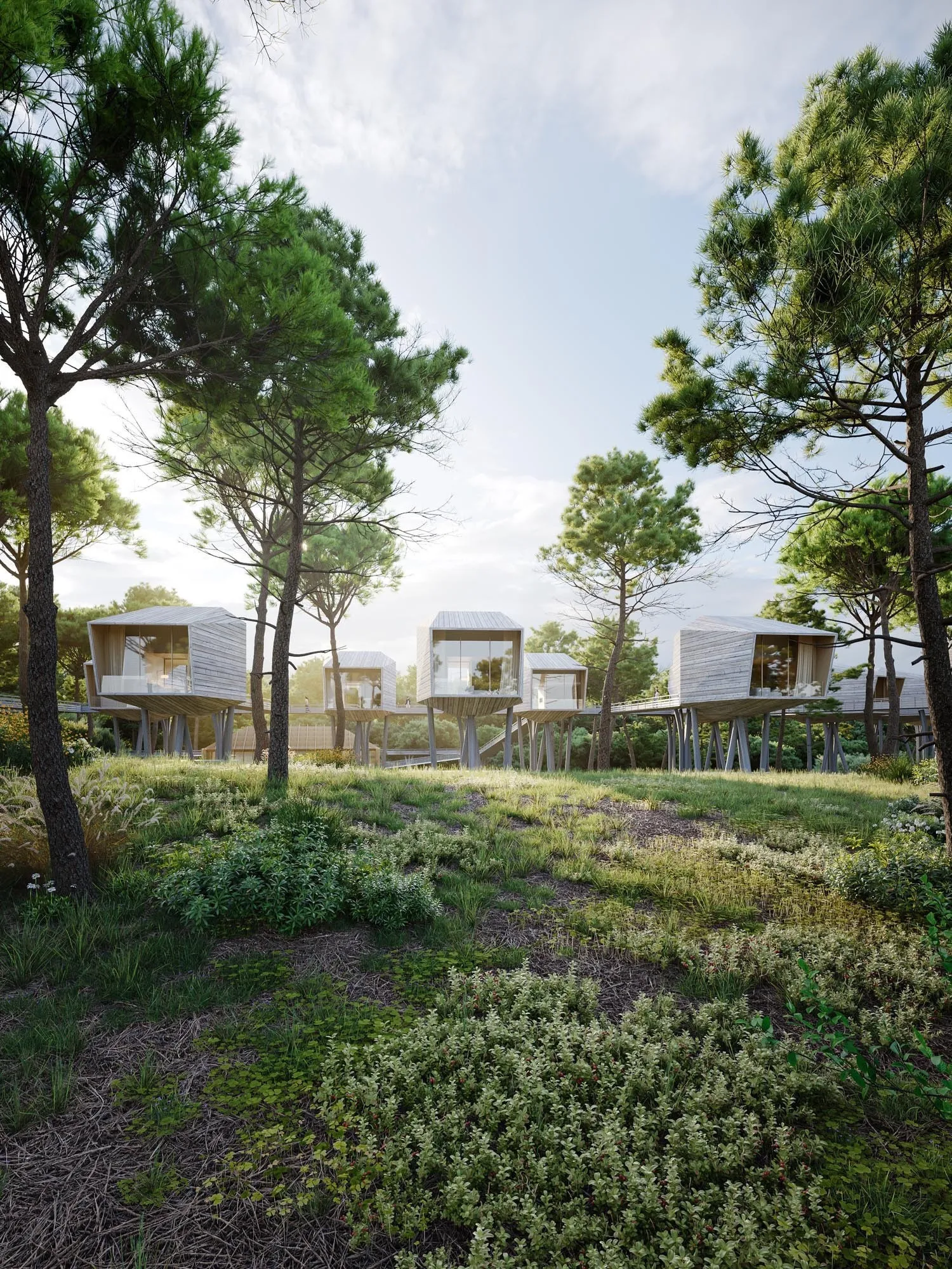 Cabins among the pines